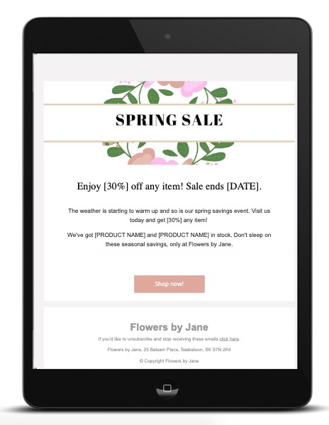 Email template source code view