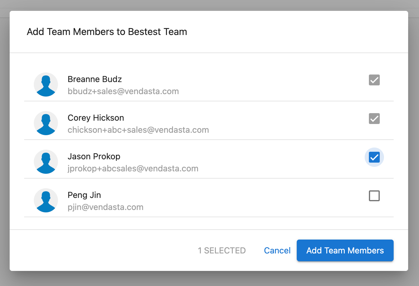 Add Team Members button