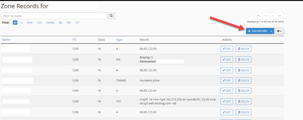 Verify DNS Records