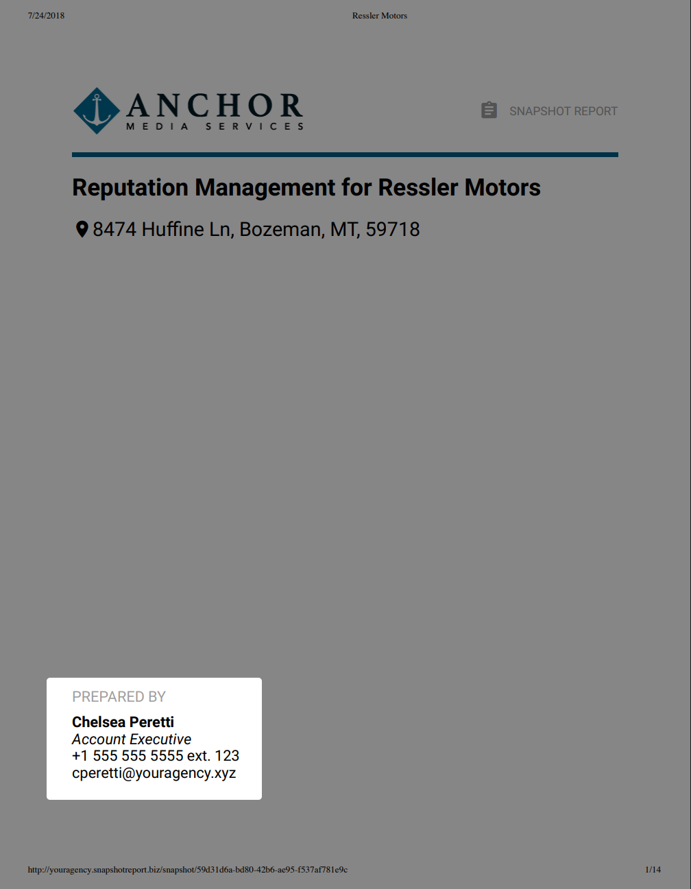 Snapshot Report Printout